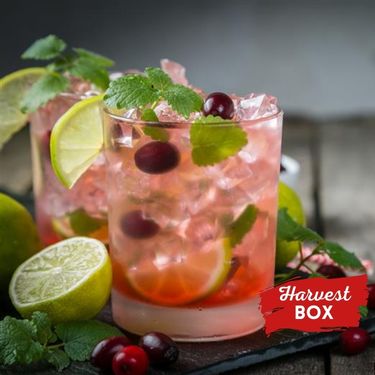 Cranberry Key Lime Holiday Mojito